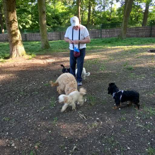 Puppy Playtime 2